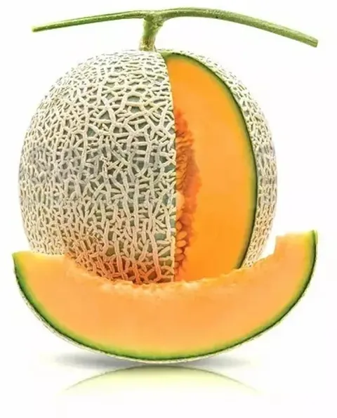 Hami melon premium hidroponik Cirebon
